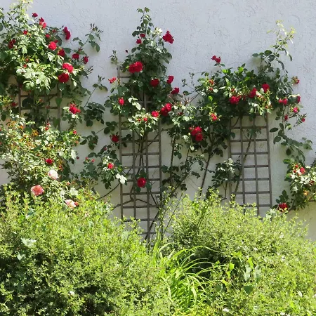 Apartment Ziegler Isny im Allgau